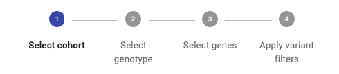 ../_images/stepsSAAAnalysis.png